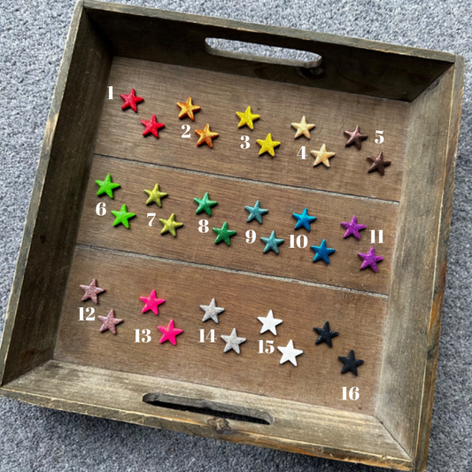 GLITTER STAR Stud Earrings